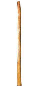 Gloss Finish Didgeridoo (TW1307)